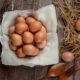 Organik Yumurtayı Anlamanın Yolları! Püf Noktaları Neler?