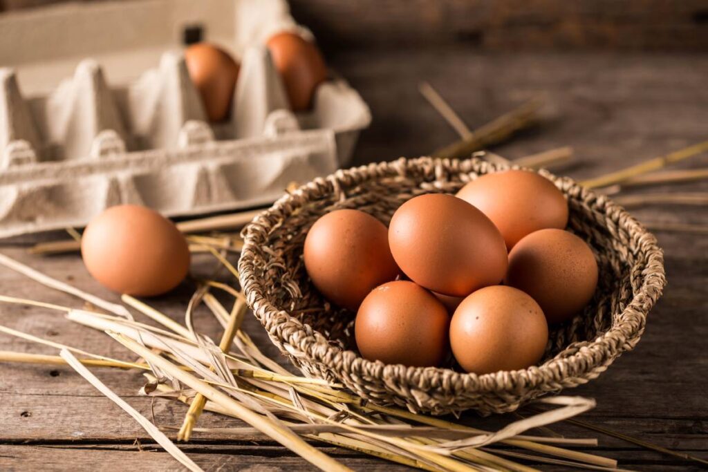 Organik Yumurtayı Anlamanın Yolları! Püf Noktaları Neler?