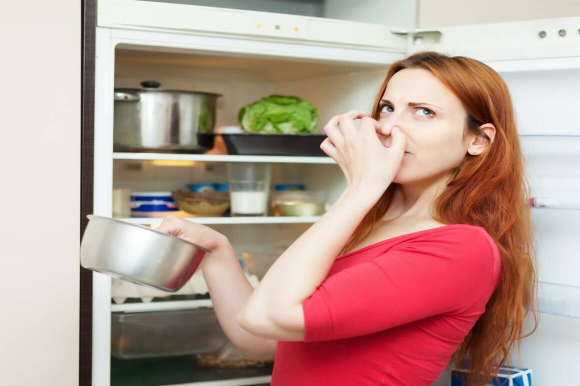 pişmiş yemek buzdolabında nasıl saklanır