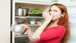 Pişmiş Yemeği Buzdolabında Saklama Koşulları Nelerdir?