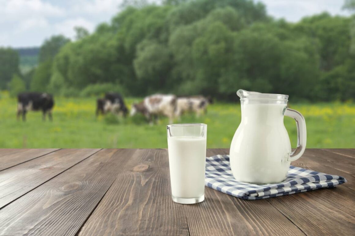 Süt Kaynatırken Tencerenin Dibinin Tutmasına Kesin Çözüm