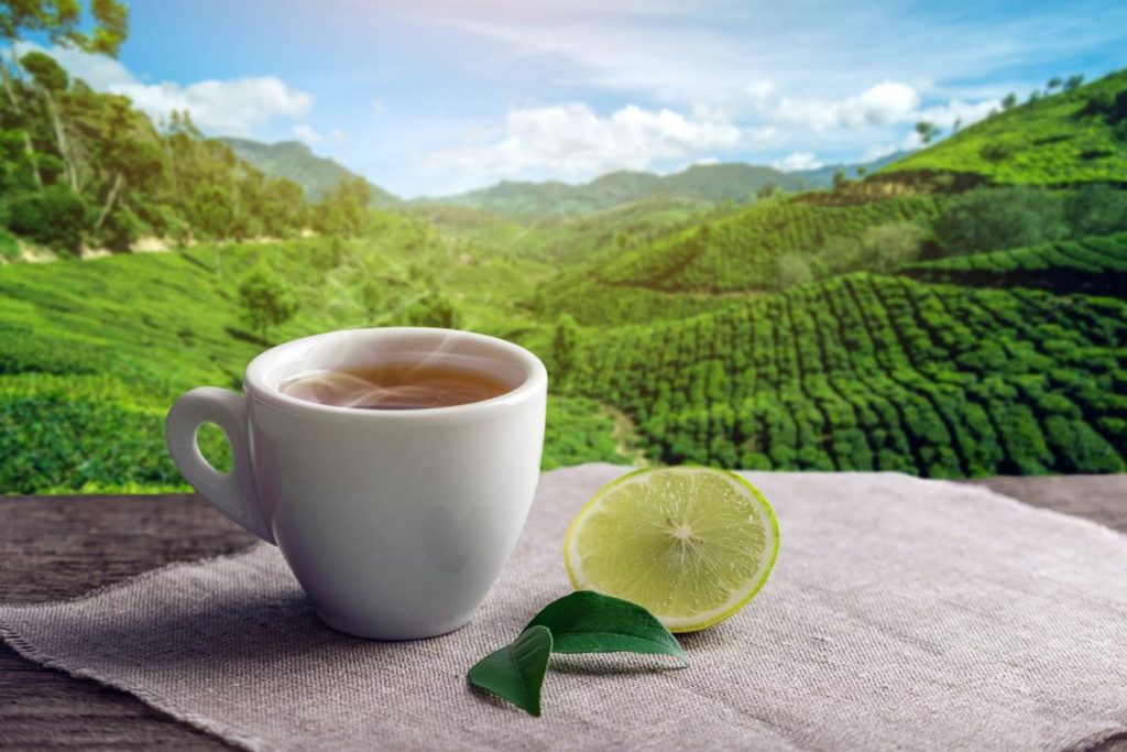 Yeşil Çayın Kalbe Zararı Var Mı?