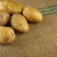 Patates Nasıl Saklanır? Tomurcuklanmasını Önleme Yolları
