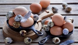 Yumurta ile İlgili Bilmeceler