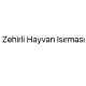 zehirli-hayvan-isirmasi-52180