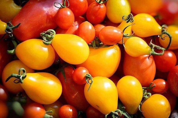 ampul-domates-nasil-saklanir-yemeklerde-kullanim-ve-faydalari-58852