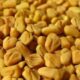 cemen-otu-tohumu-yemeklerde-nasil-kullanilir-faydalari-ve-zararlari-42736