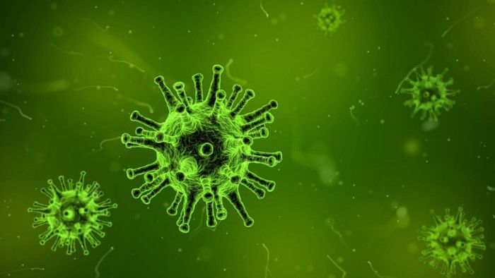 Norovirüs İnsana Nasıl Bulaşır? Belirtileri Kaç Günde Ortaya Çıkar?