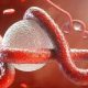 ebola-virusu-hastaligi-nedir-nasil-bulasir-belirtileri-ve-tedavisi-92984