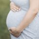 hamilelik-sansini-arttirmak-icin-tavsiyeler-96330