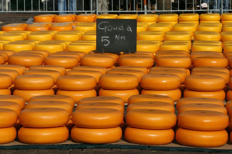 hollanda-peynirlerinin-ozellikleri-67813