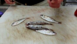 İzmarit Balığı Hangi Yemeklerde Kullanılır? Hangi Hastalıklara İyi Gelir?