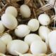 kaz-yumurtasi-yemeklerde-nasil-kullanilir-faydalari-ve-zararlari-nelerdir-49421