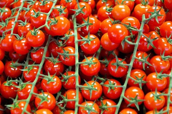 kiraz-domates-yemeklerde-nasil-kullanilir-faydalari-ve-zararlari-nelerdir-20274