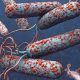 kolera-neden-olur-insanlara-nasil-bulasir-belirtileri-ve-tedavi-yontemleri-28101