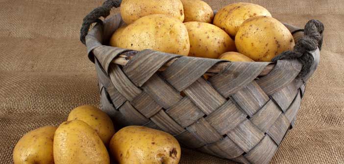 patates-nasil-saklanir-hangi-hastaliklara-iyi-gelir-kalorisi-ve-zararlari-8338