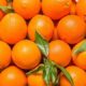 portakal-hangi-hastaliklara-iyi-gelir-nasil-saklanir-faydalari-nelerdir-16369