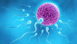 Spermin Yumurtalığa Gittiği Hissedilir mi? Ulaşması için Ne Yapmalı?