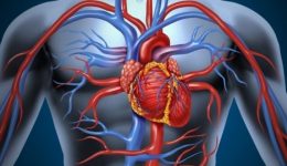 Uzmanından kalp damar hastalarına sıcak havayla "başa çıkma" önerileri