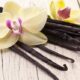 vanilya-yemeklerde-nasil-kullanilir-saklanir-faydalari-kalorisi-ve-zararlari-79422