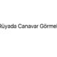 ruyada-canavar-gormek-96149