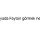 ruyada-fayton-gormek-nedir-24048