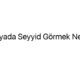 ruyada-seyyid-gormek-nedir-48493