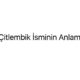citlembik-isminin-anlami-92053