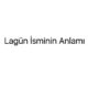 lagun-isminin-anlami-34864