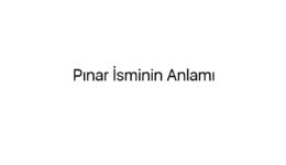 Pınar İsminin Anlamı