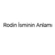 rodin-isminin-anlami-50509