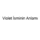 violet-isminin-anlami-98764