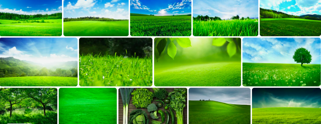 Rüyada Yeşillik Görmek nedir