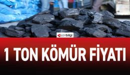 1 Ton Kömür Fiyatı 2023 (Şubat Ayı Zamlı Fiyatlar)