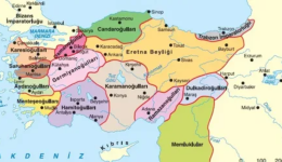 Anadolu’da Kurulan Türk Devletleri