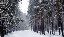 Aralık Ayı Sözleri: Kışın Büyülü Atmosferini Yansıtan Sözler