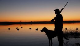 Avcılık Sözleri: Doğayla Uyum, Deneyimler ve Değerler