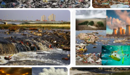Çevre Kirliliği İle İlgili Gazete Ve Dergi Haberleri