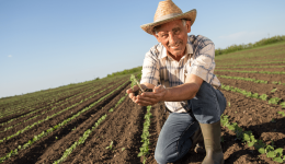 Çiftçiler Günü Özel Kutlama Mesajları – Gösterin Sevginizi