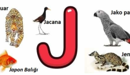 J Harfiyle Başlayan Hayvan İsimleri ve Türleri