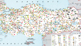 Türkiye’deki Ekonomik Faaliyetler Nelerdir? Örneklerle Anlatım