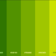 yesil-renk-tonlarinin-isimleri-ve-renk-kodlari-46242