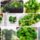 bebeklere-brokoli-ne-zaman-yedirilir-bebeklerde-gaz-yapar-mi-43573