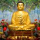 buddha8217nin-hikmet-dolu-sozleri-yasam-dersleri-17585