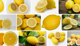 Limon Meyve midir Yoksa Sebze mi? Hangi Mevsim Yetişir?