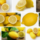 limon-meyve-midir-yoksa-sebze-mi-hangi-mevsim-yetisir-48405