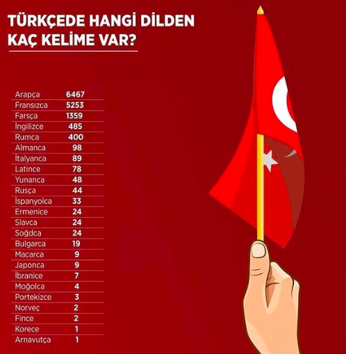 turkcede-hangi-dilden-kac-kelime-var-13599