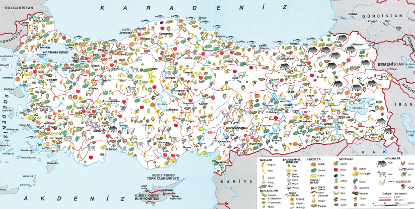 turkiyedeki-ekonomik-faaliyetler-nelerdir-orneklerle-anlatim-98970