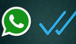 Whatsapp Linki Nasıl Yapılır?