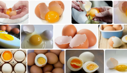 Yumurta Sivilceye Neden Olan Besinlerdendir! Bilimsel Araştırmalar Ne Diyor?